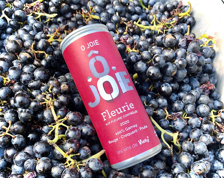 La canette de Fleurie sur France 3