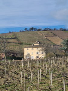 La caisse découverte du château des Moriers