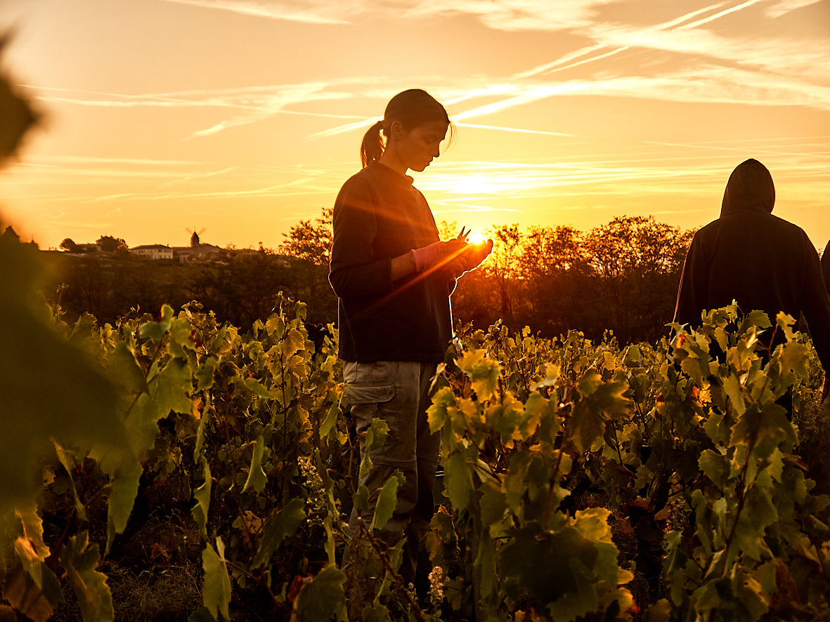 Adhérez au club ! La caisse découverte du club des Moriers