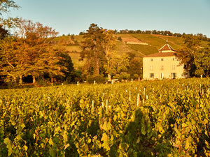 La caisse découverte du château des Moriers