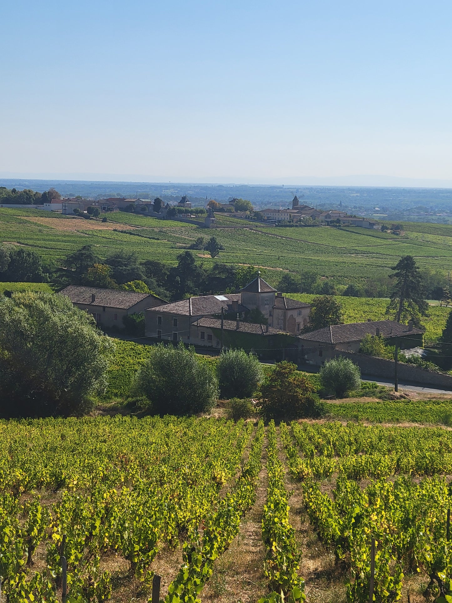 Adhérez au club ! La caisse découverte du club des Moriers