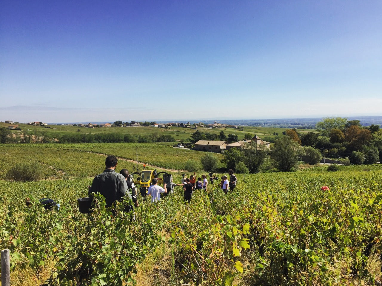 Fleurie La Brirette, Château des Moriers