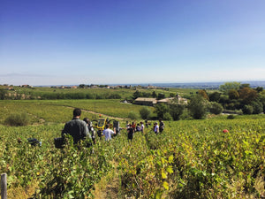 Fleurie La Brirette, Château des Moriers