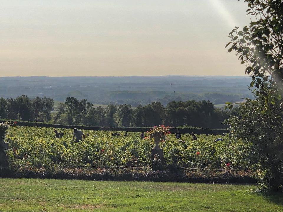 Fleurie, Vielles Vignes, Les Moriers, Château des Moriers